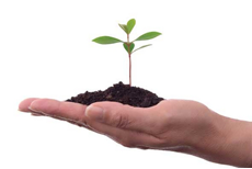 Grow your business
